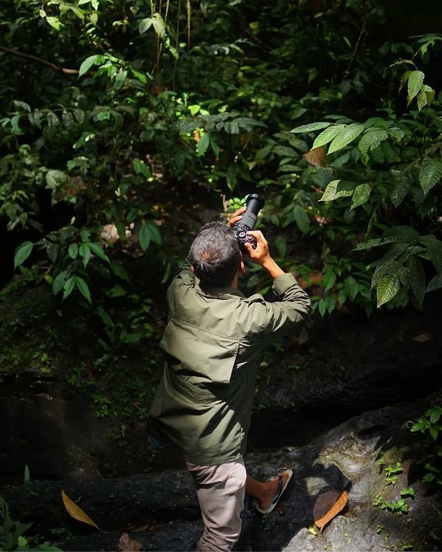 photographer in the jungle