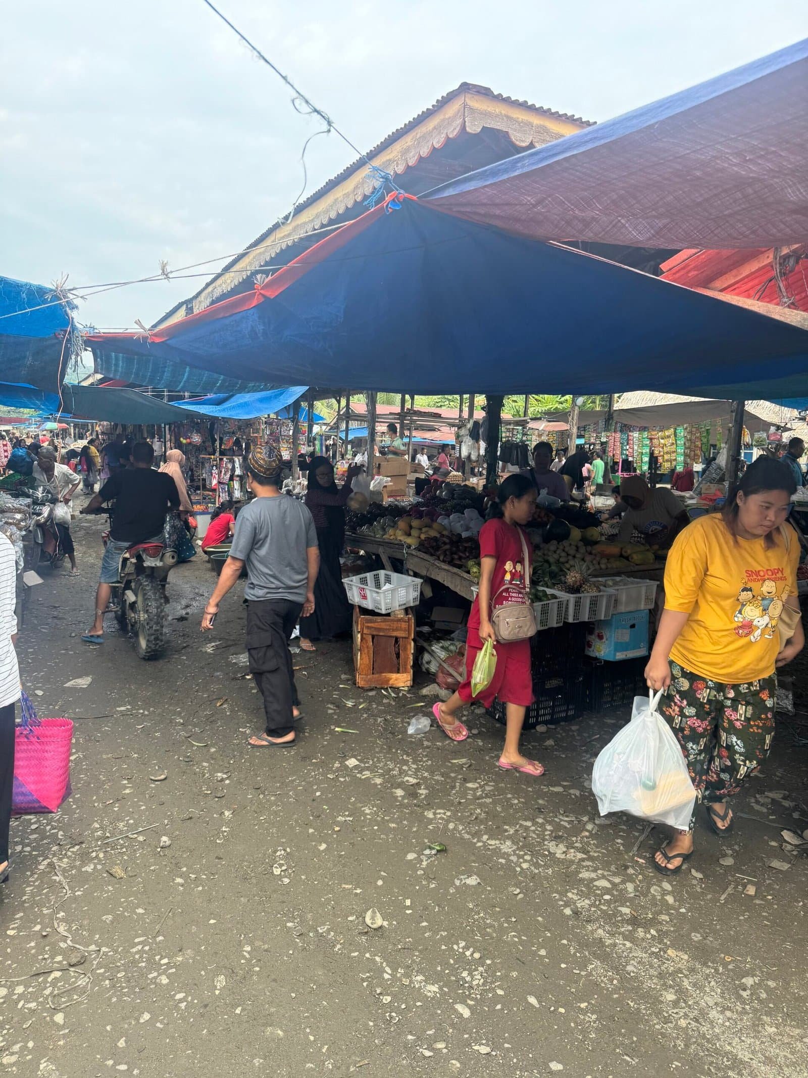 Bukit Lawang friday market