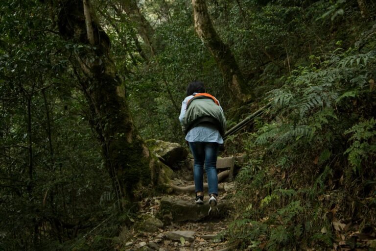 A woman hiking through a scenic forest trail in Taiwan, surrounded by lush greenery.