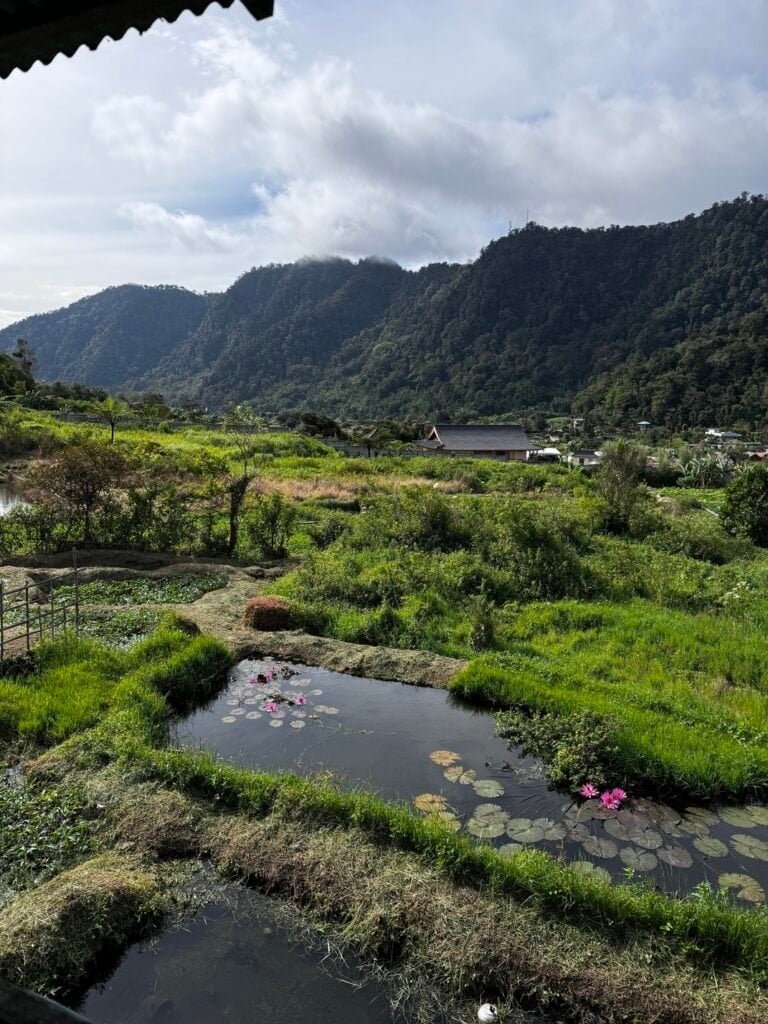 From Corporate Burnout to Life in Sumatra