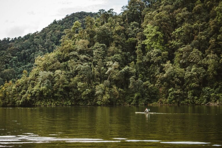 Peaceful canoe journey through the dense jungle of North Sumatra, Indonesia, showcasing nature's beauty.