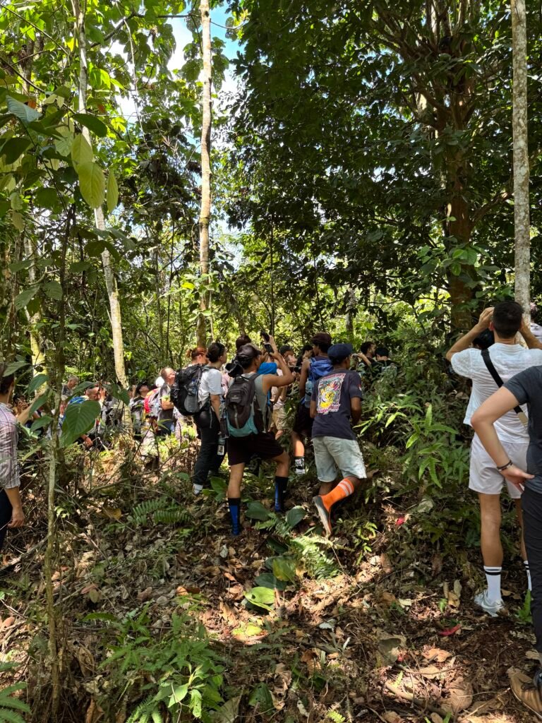 Choosing between a bukit lawang vs batu katak jungle trek