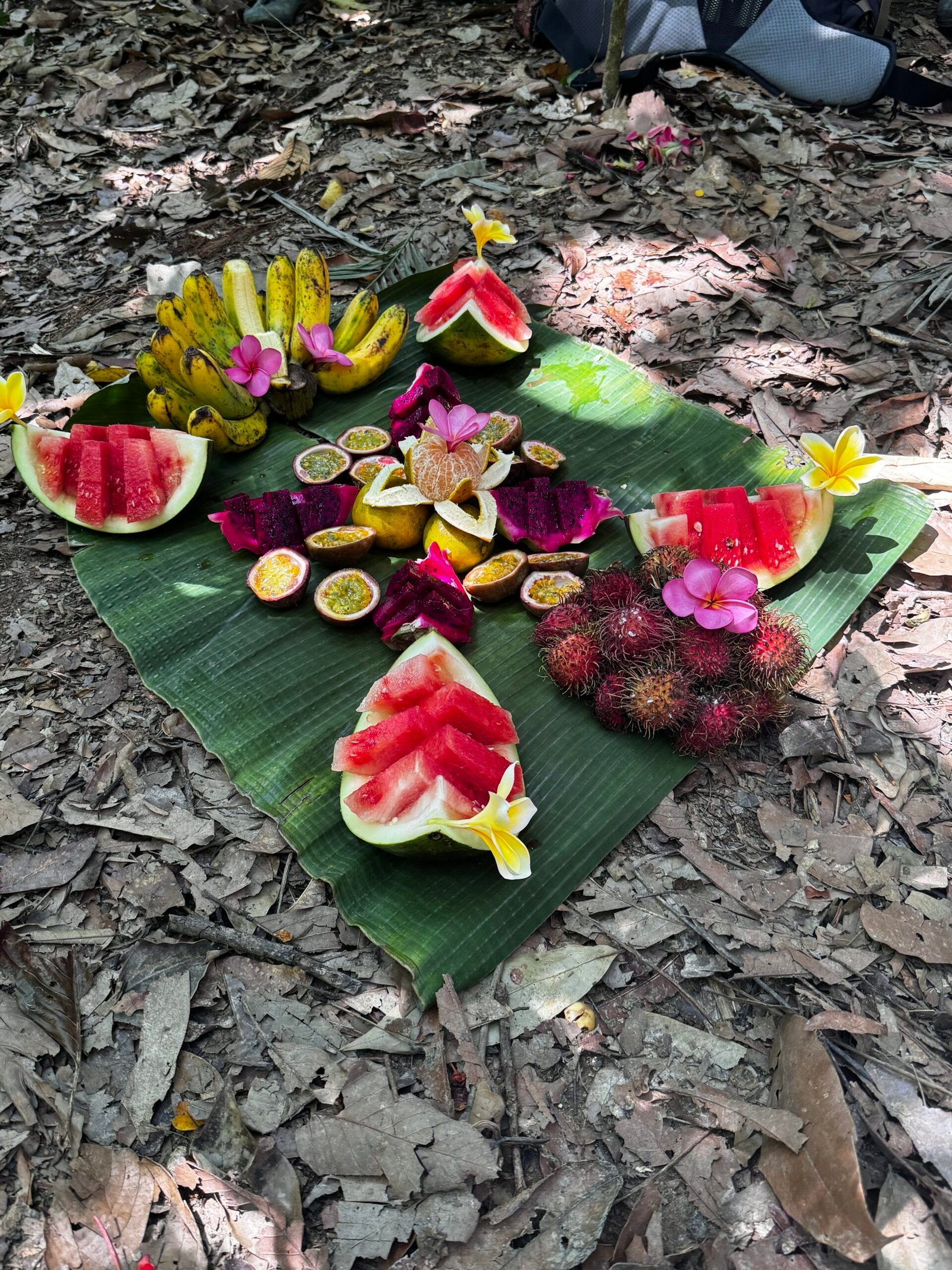 Fresh tropical fruit break during a 3-Day Jungle Trekking Bukit Lawang adventure in Gunung Leuser National Park.