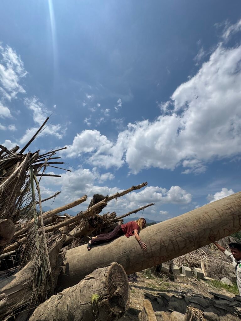 A massive uprooted tree blocking roads in Aceh following the devastating floods, documented during our Aceh Relief Mission.