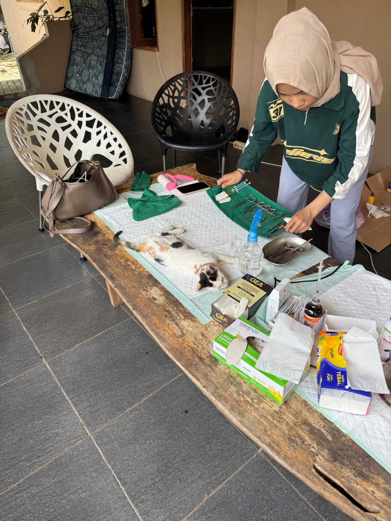 Veterinary team from Sumatra Dogs and Cats performing ethical sterilization at Jungle Gym Bukit Lawang.