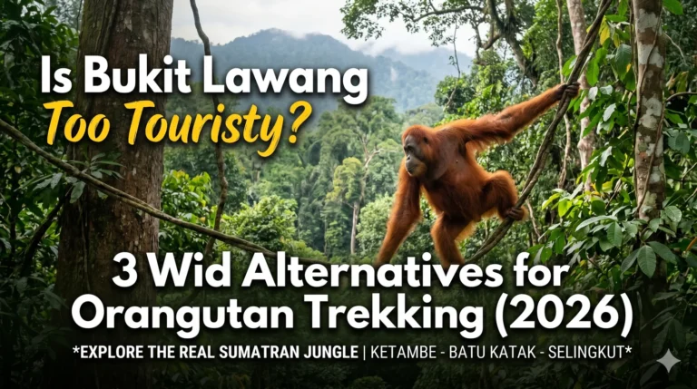 Is Bukit Lawang Too Touristy? 3 Wild Alternatives for Orangutan Trekking (2026)