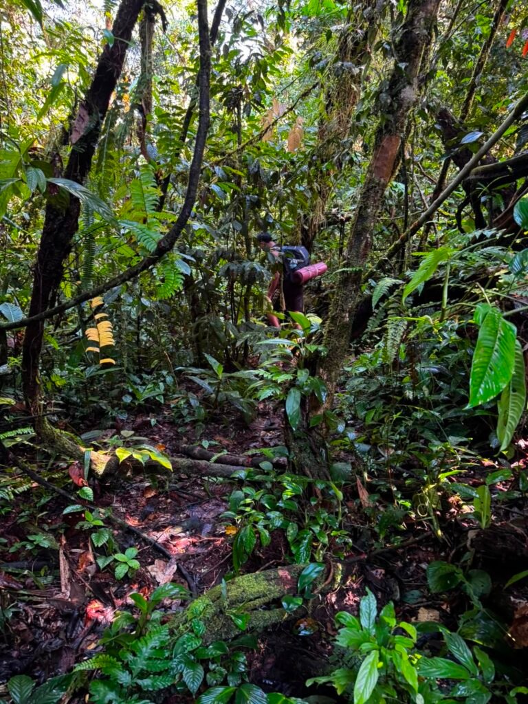 Wild camping during Batu Katak to Bukit Lawang jungle expedition in Sumatra