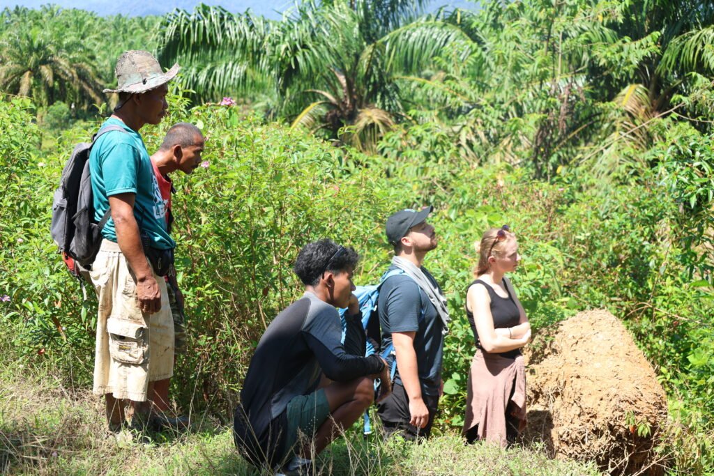 Responsible jungle tourism with local guides in Sumatra