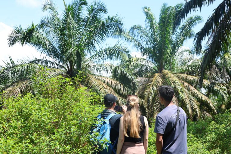 Human-Wildlife Conflict in Sumatra: Why People and Wildlife Need Each Other