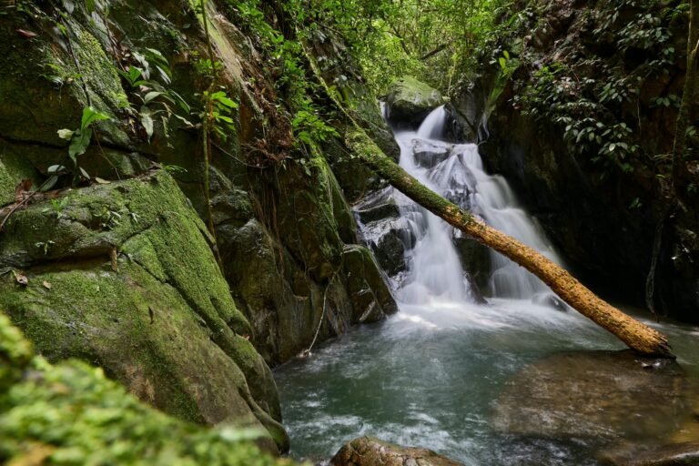 Rainforest river in Batu Katak, North Sumatra