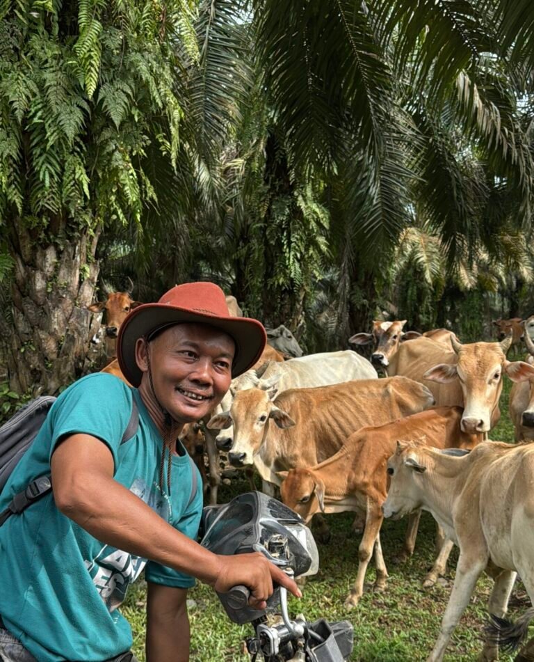 Local community living beside rainforest in Sumatra