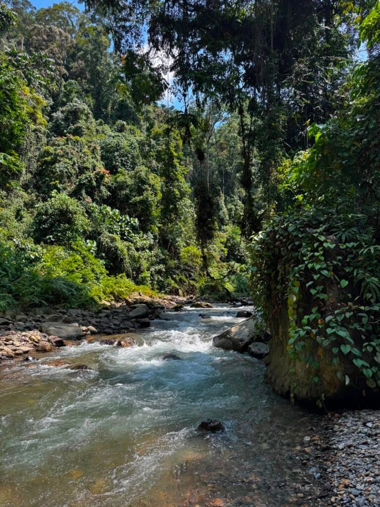 Batu Katak to Bukit Lawang trek
