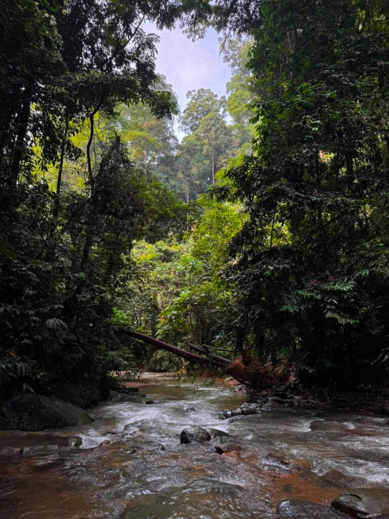 Batu katak hidden place